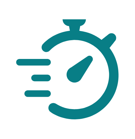 Speed icon